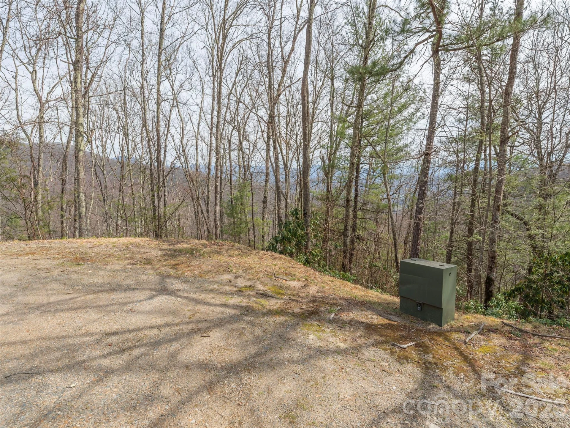 0000 Sigogglin Trail #4 - Photo 3
