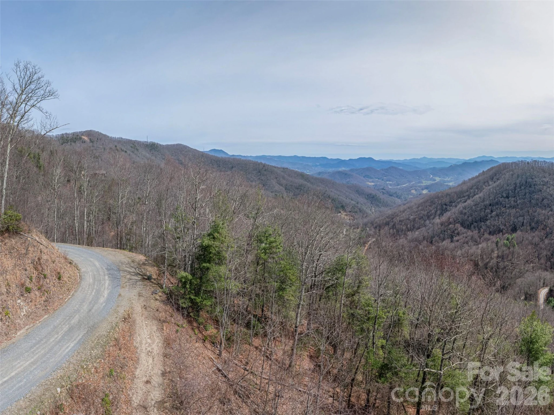 0000 Sigogglin Trail #4 - Photo 9