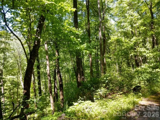 00 Hudson Valley Drive, Waynesville, NC, 28786