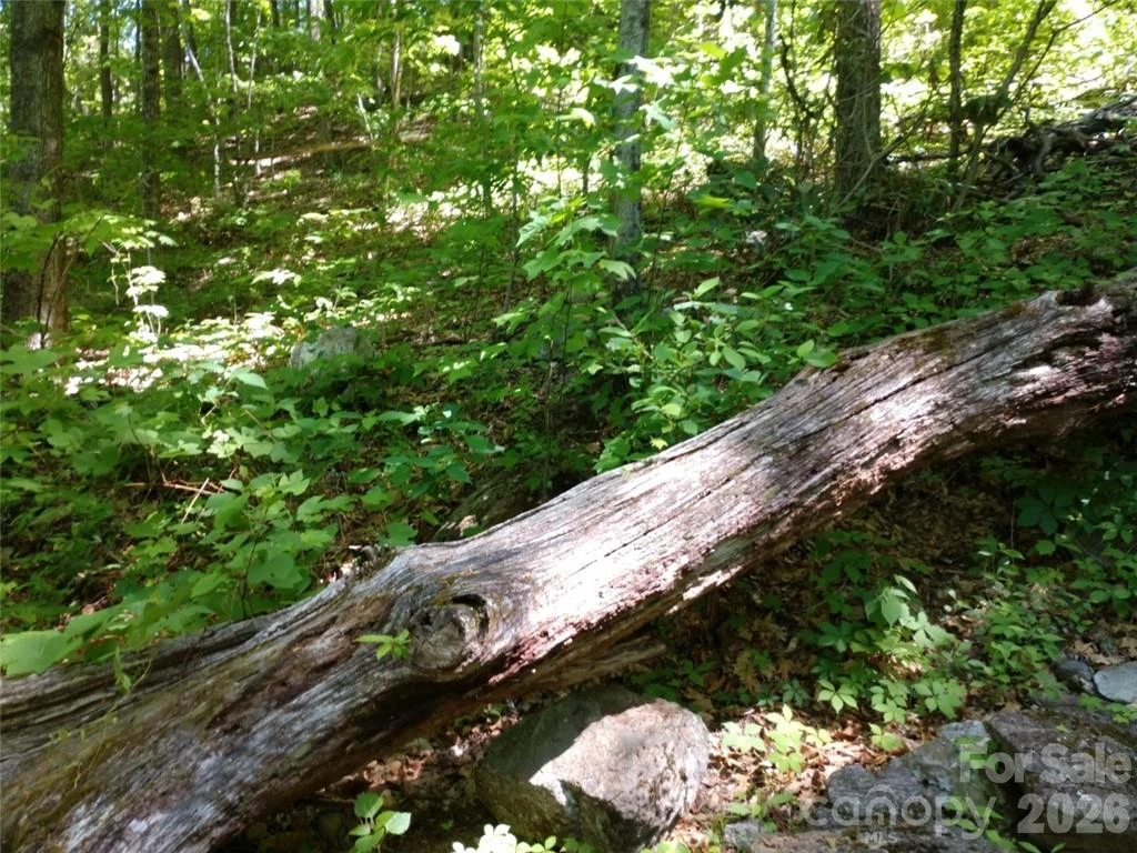 00 Hudson Valley Drive #11 - Photo 6
