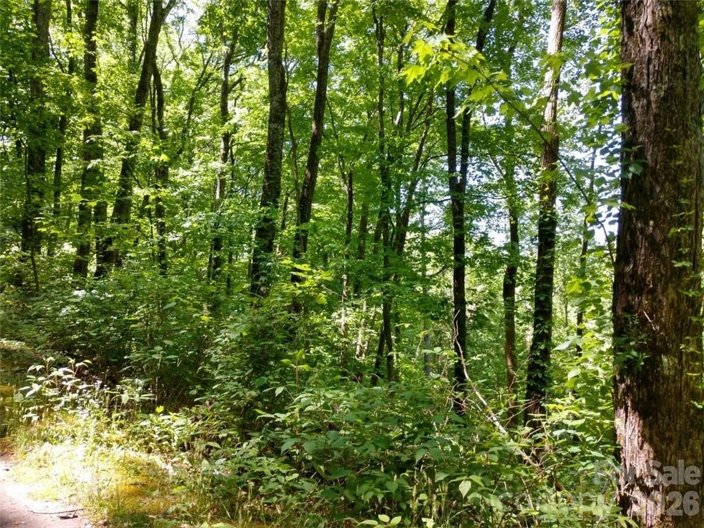 00 Hudson Valley Drive #11 - Photo 10