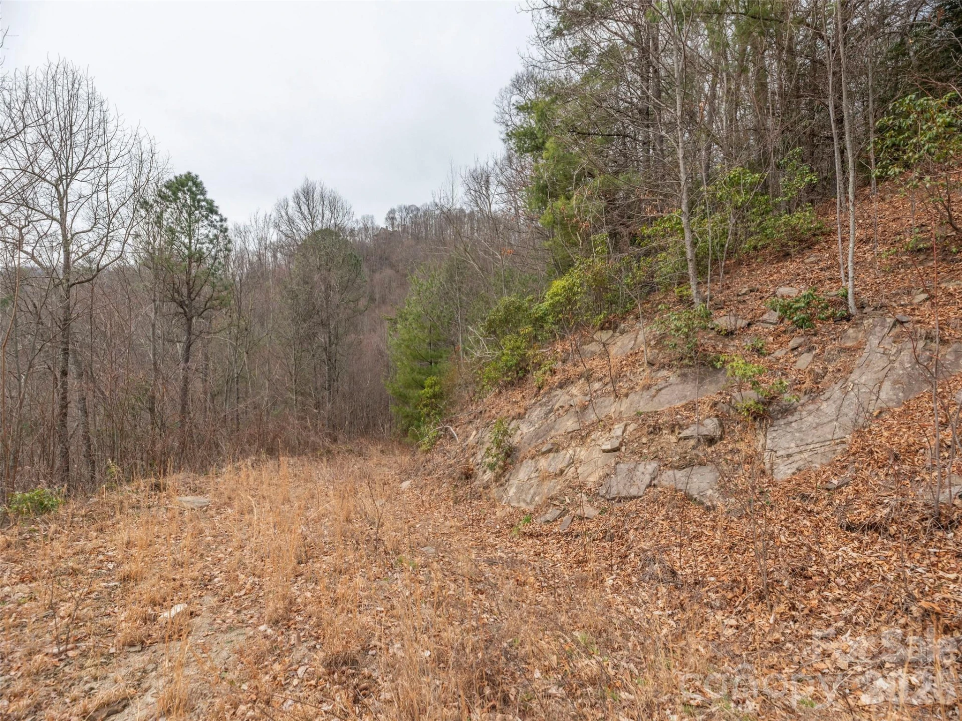 000 Sigogglin Road #17 - Photo 3