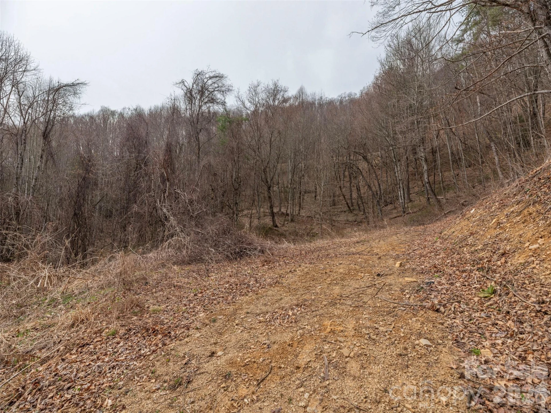 000 Sigogglin Road #17 - Photo 5