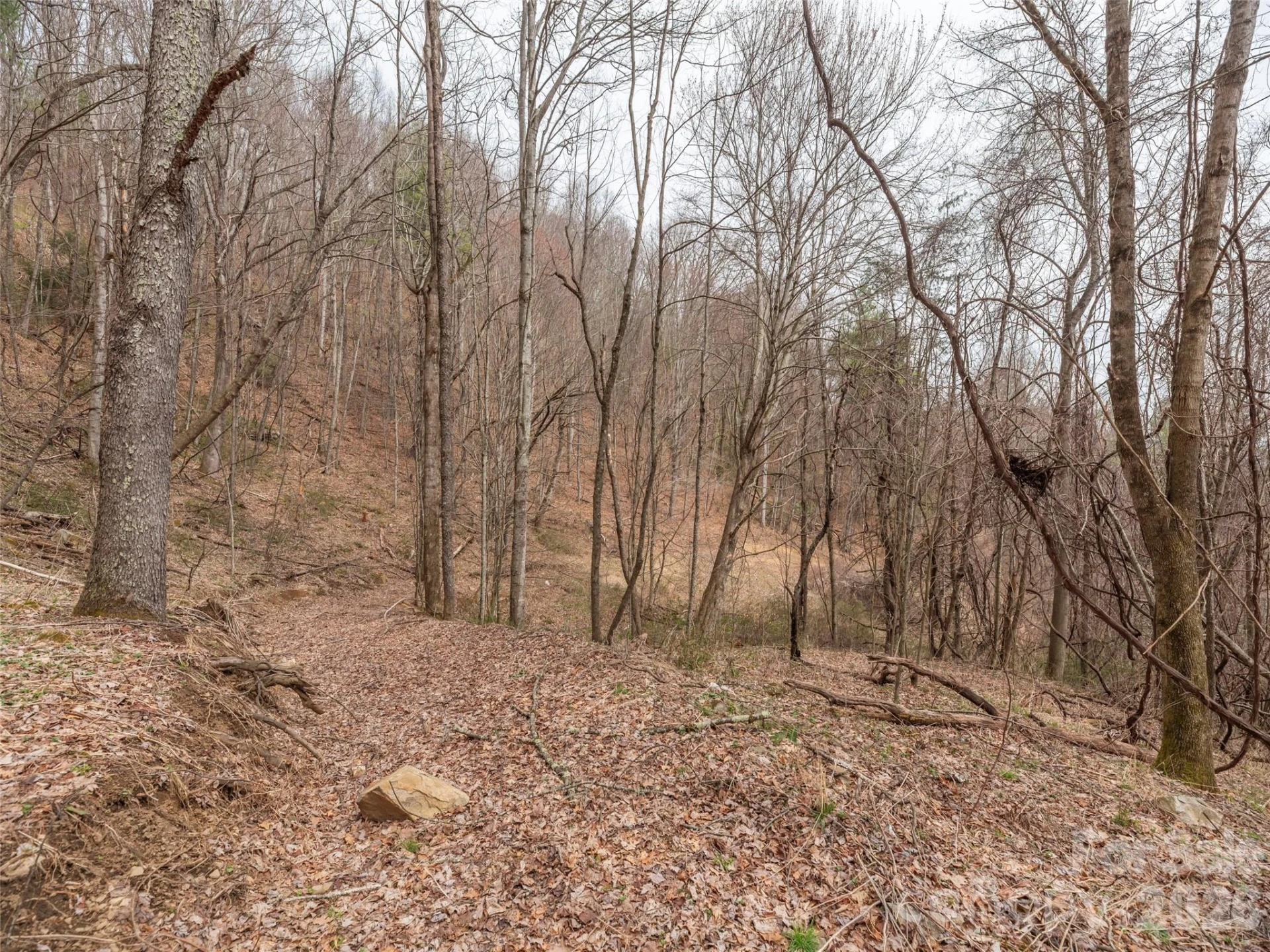 000 Sigogglin Road #17 - Photo 7