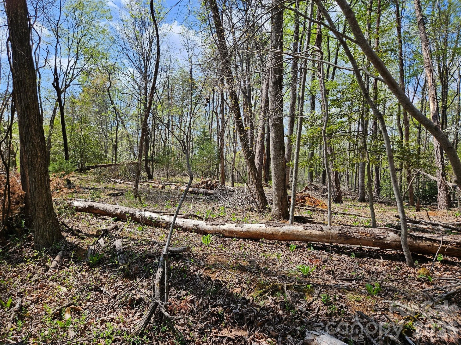 0 Whitney Boulevard #57 - Photo 2