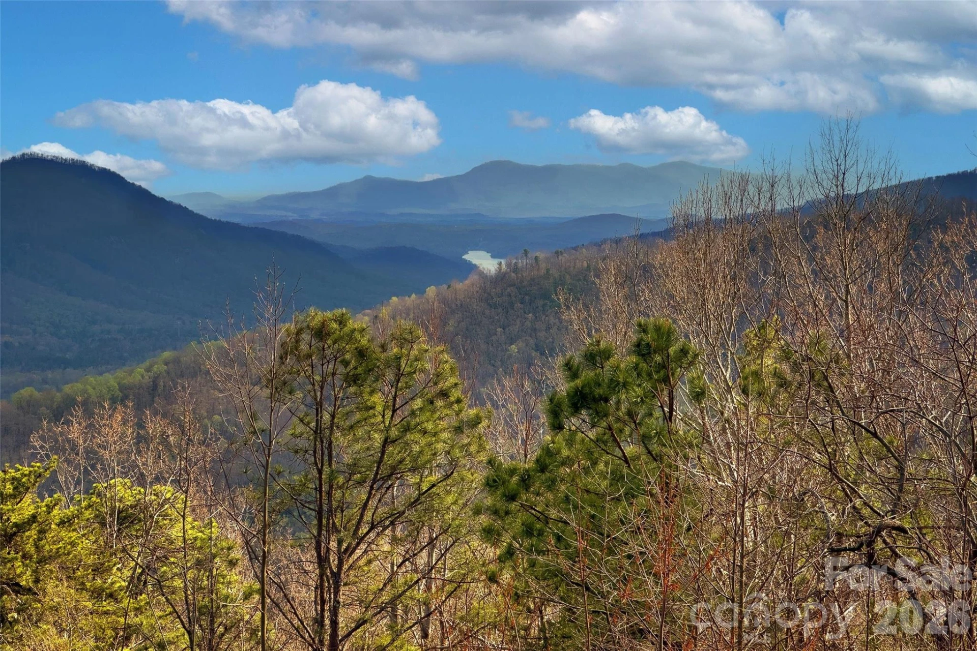 62 Skyline Drive - Photo 23