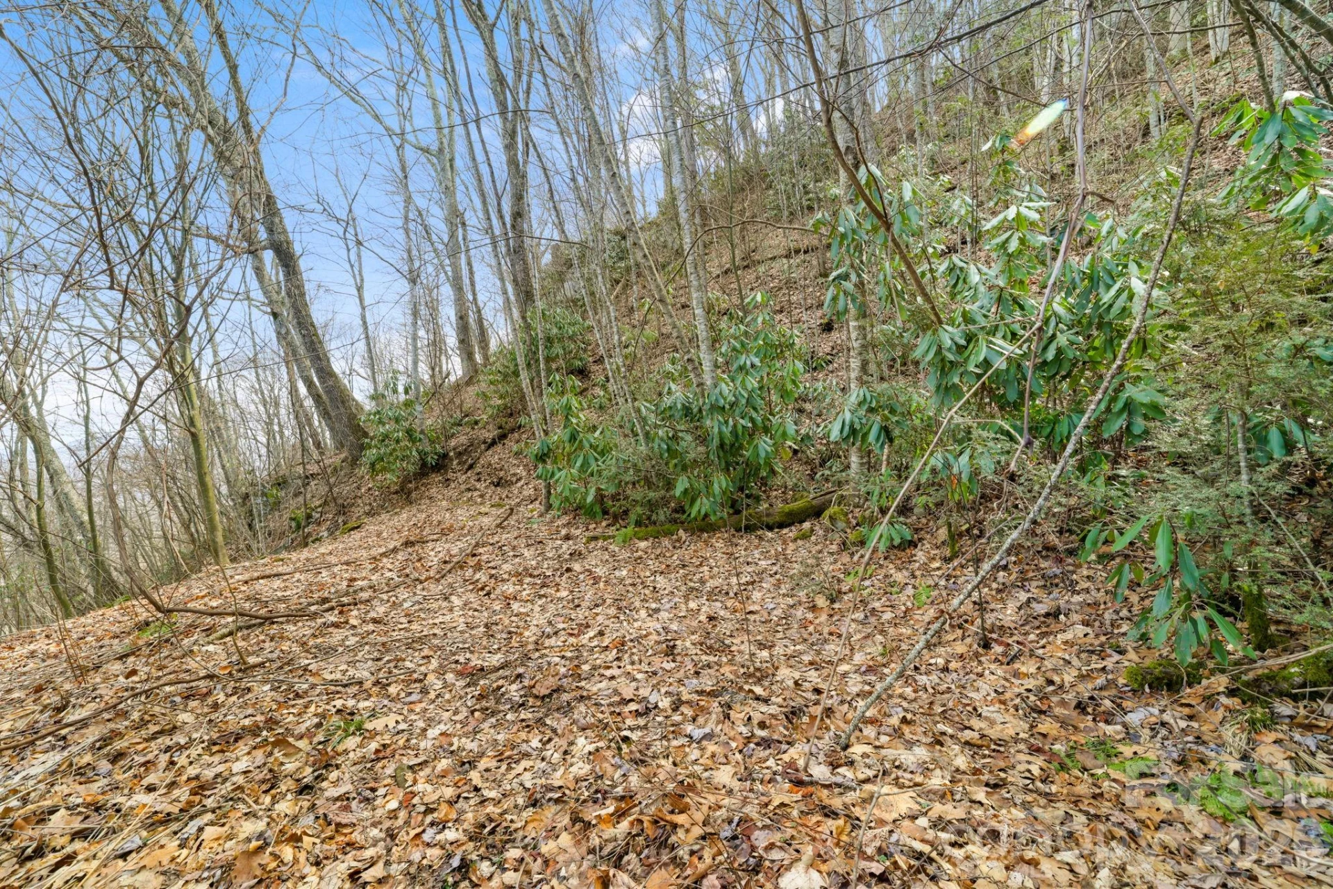00 Forest Drive #14 - Photo 4