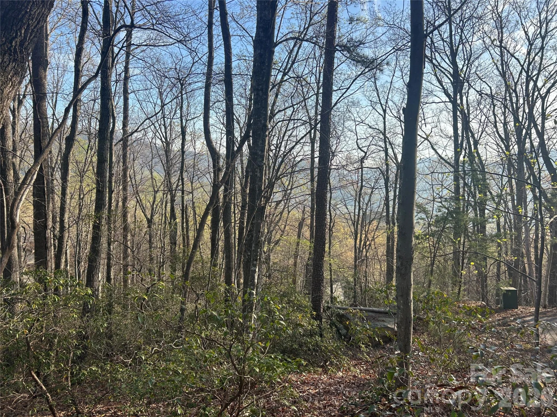 Lot 301 Cardinal Road #301