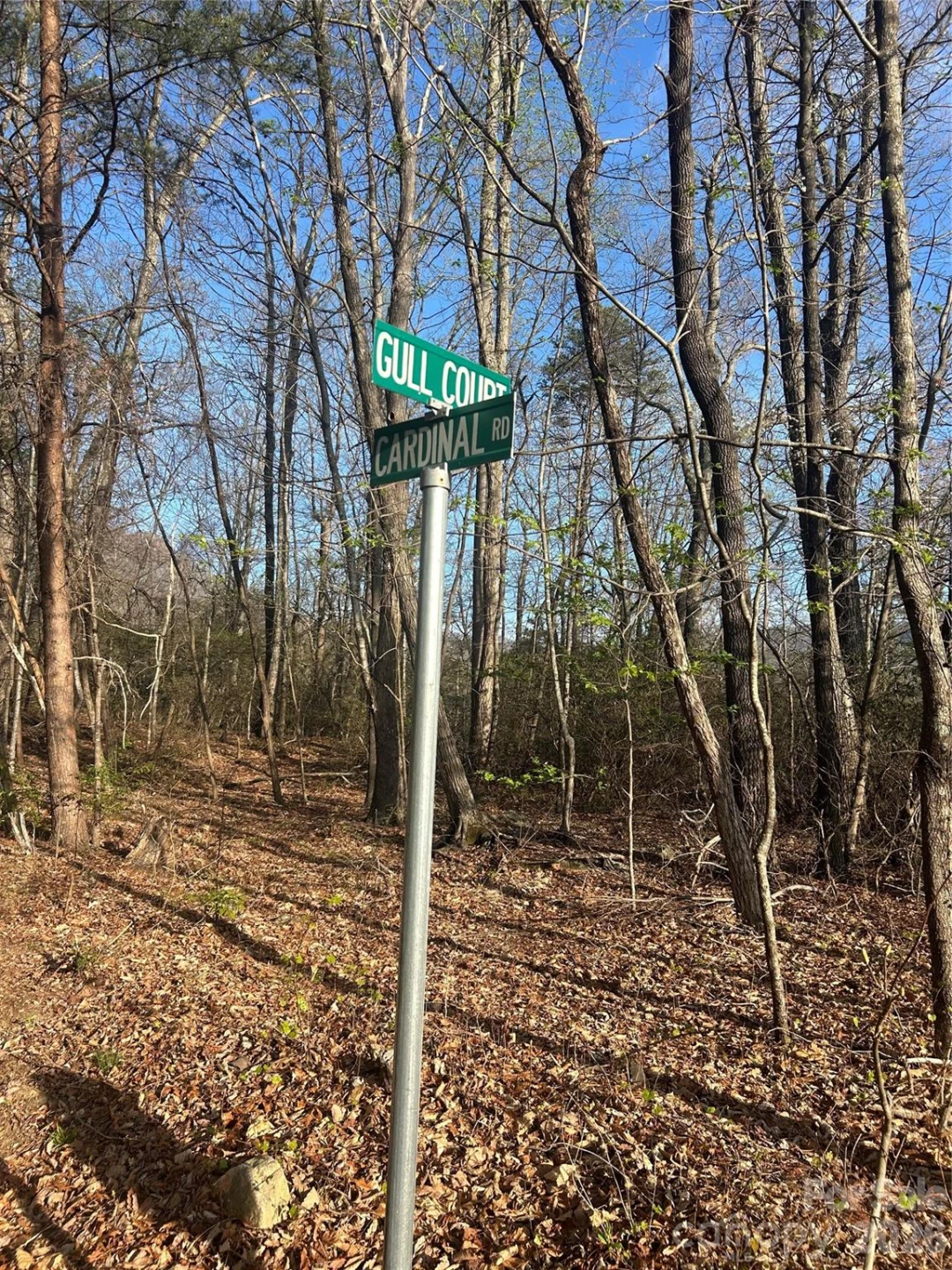 Lot 301 Cardinal Road #301 - Photo 7