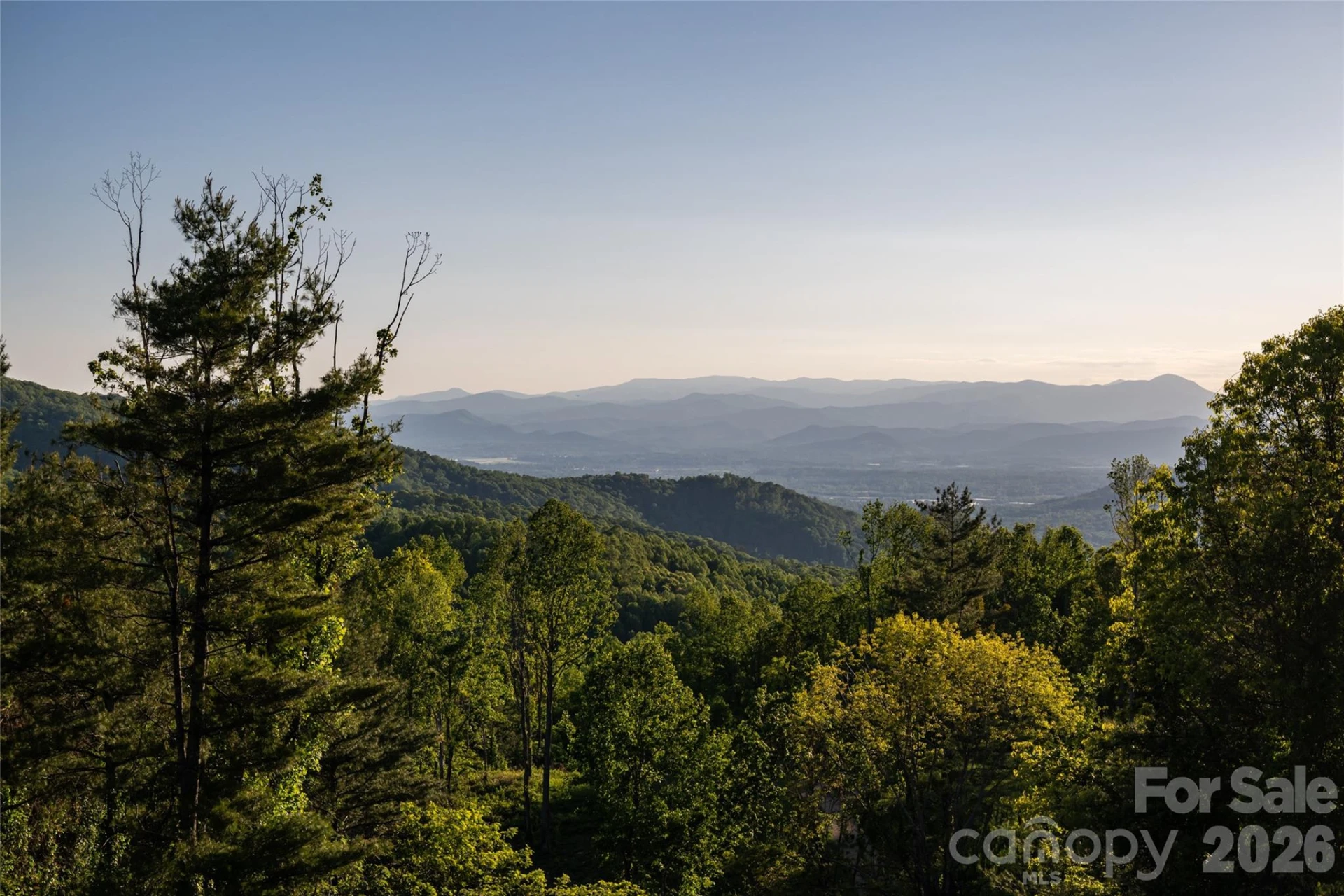 31 Bear Tree Court - Photo 4