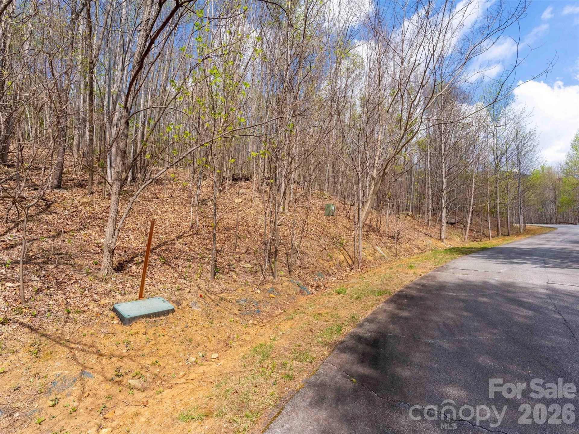 Lot 196 Cherry Hill #196
