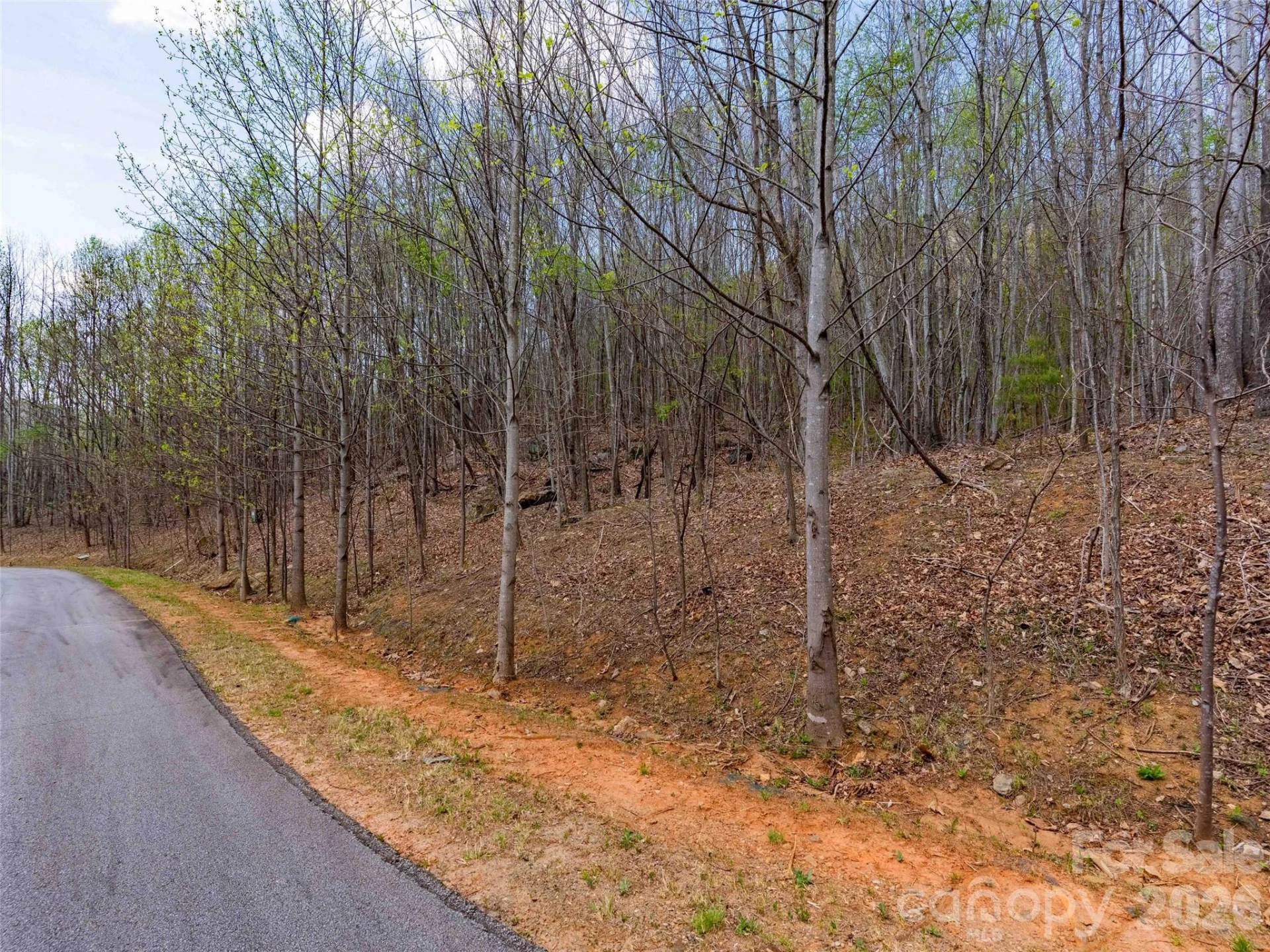 Lot 196 Cherry Hill #196 - Photo 11