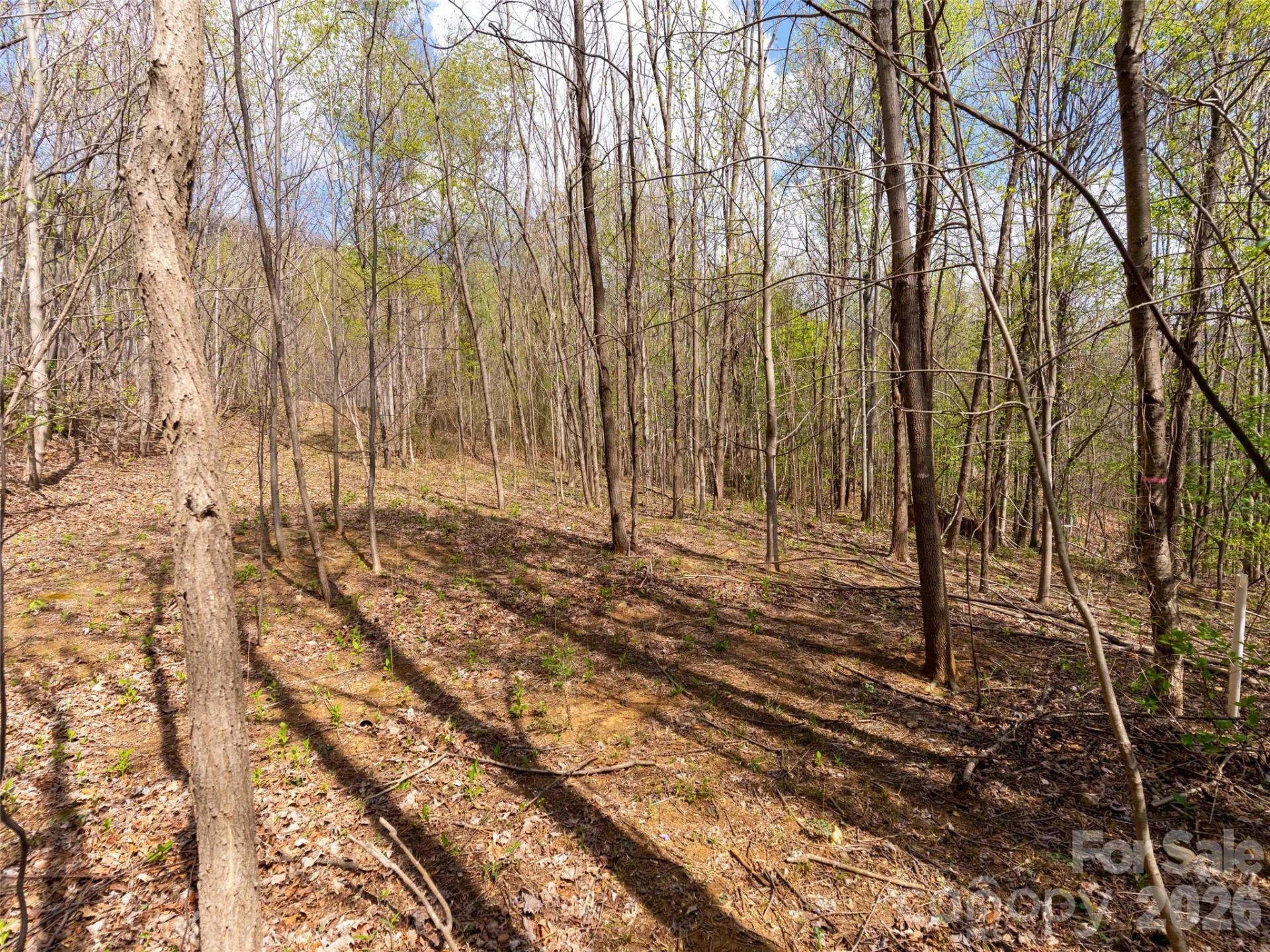 Lot 196 Cherry Hill #196 - Photo 4