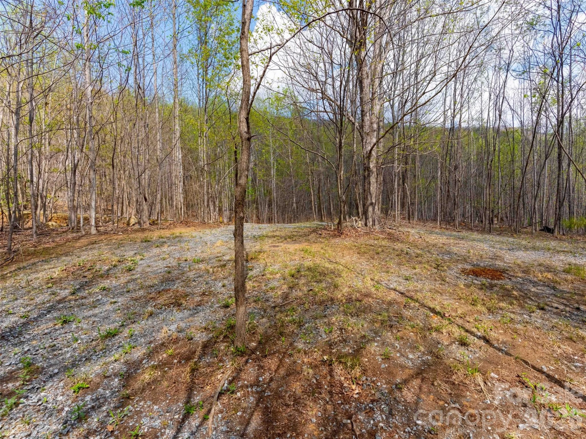 Lot 196 Cherry Hill #196 - Photo 7
