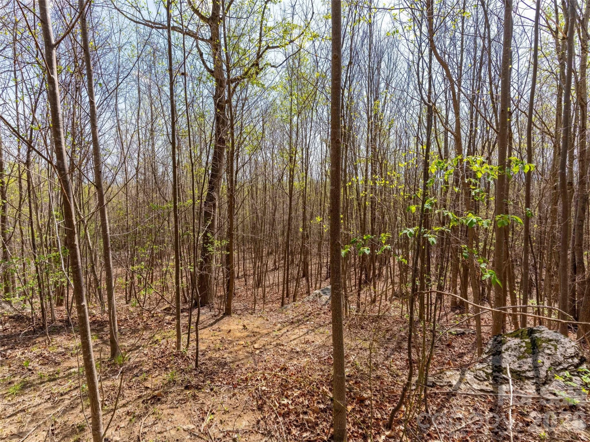 Lot 196 Cherry Hill #196 - Photo 8