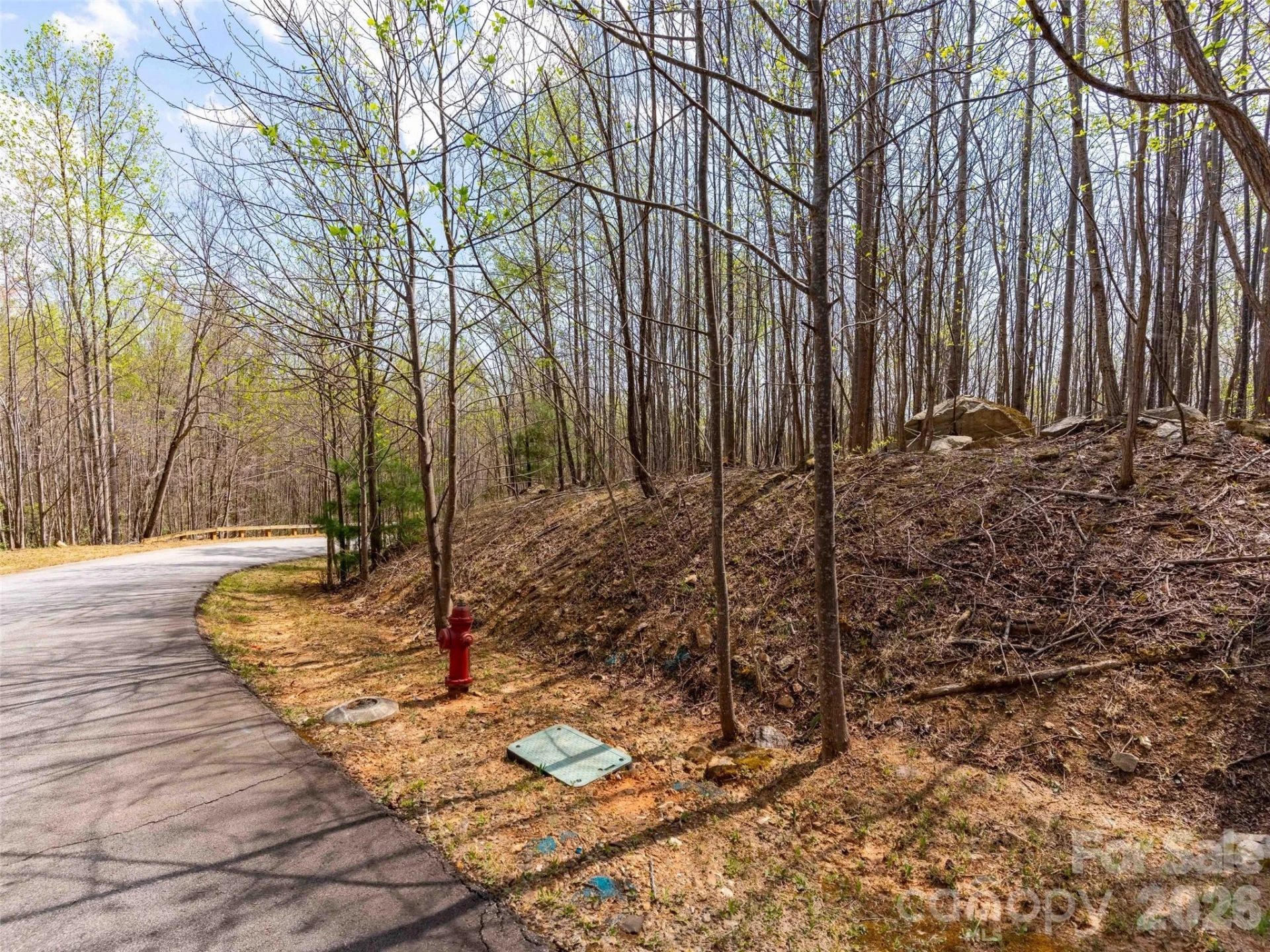 Lot 196 Cherry Hill #196 - Photo 9