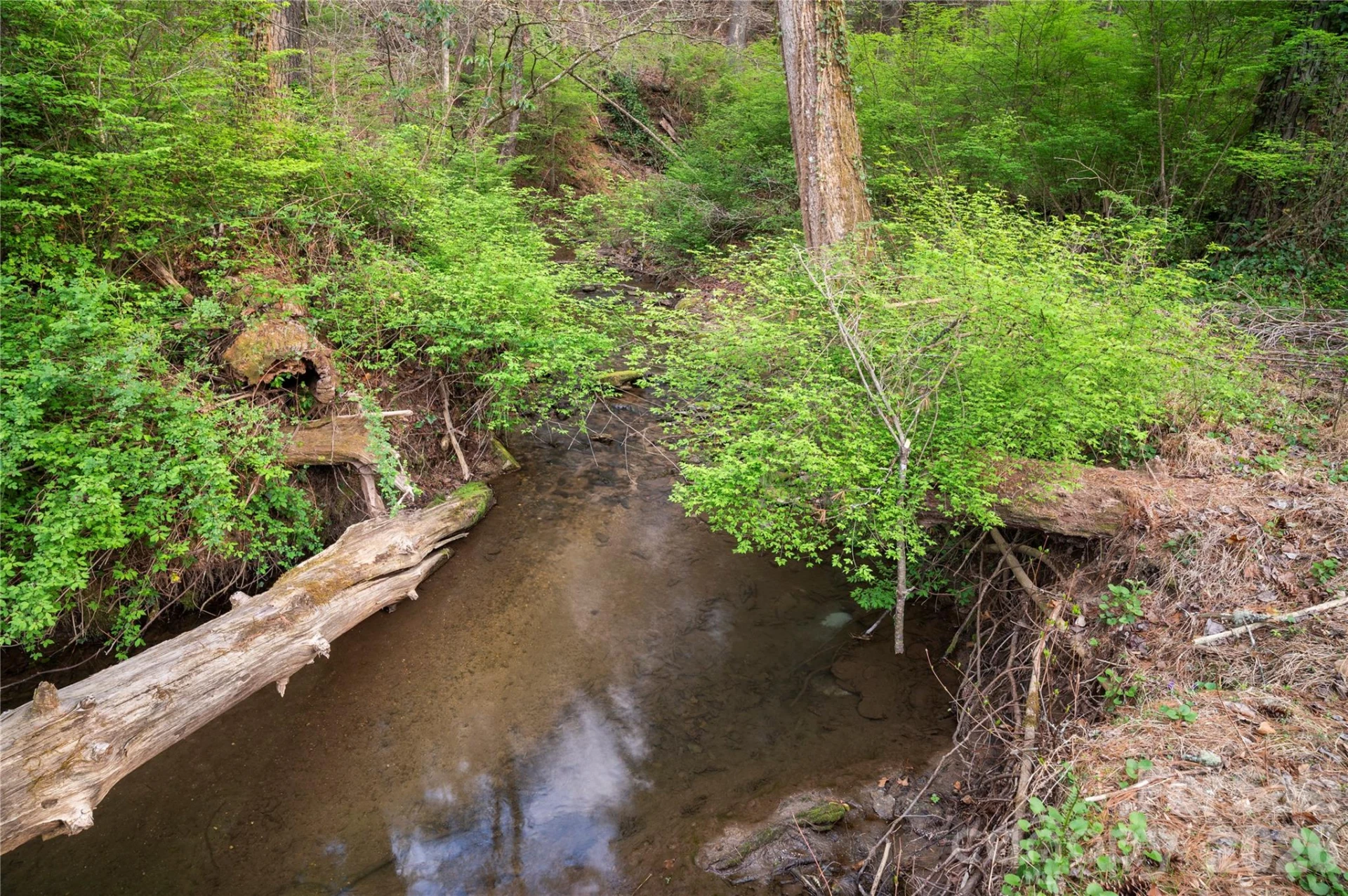 3002 Kanuga Road - Photo 16