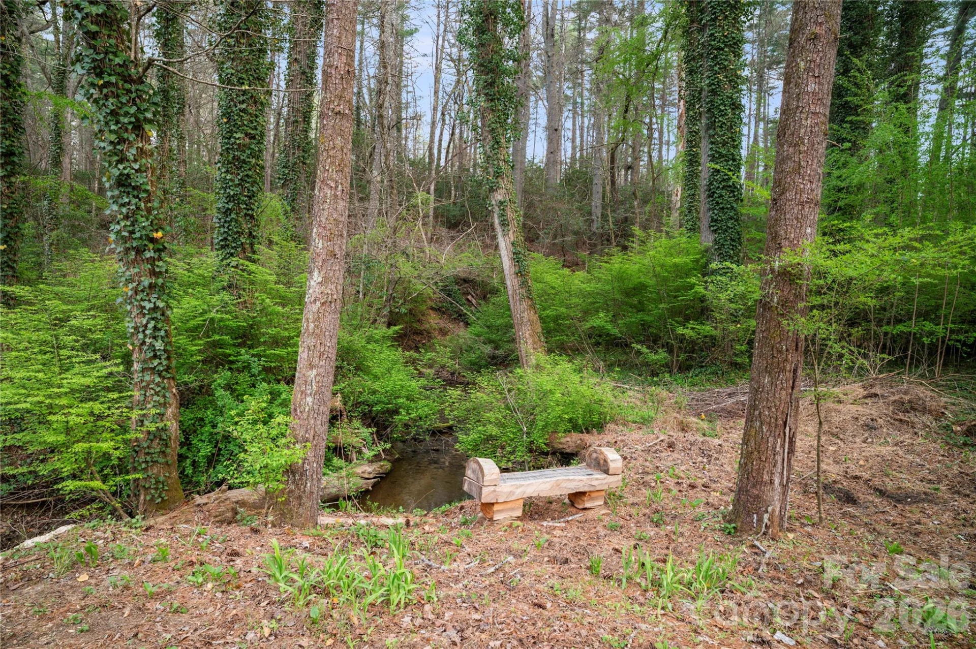 3002 Kanuga Road - Photo 18