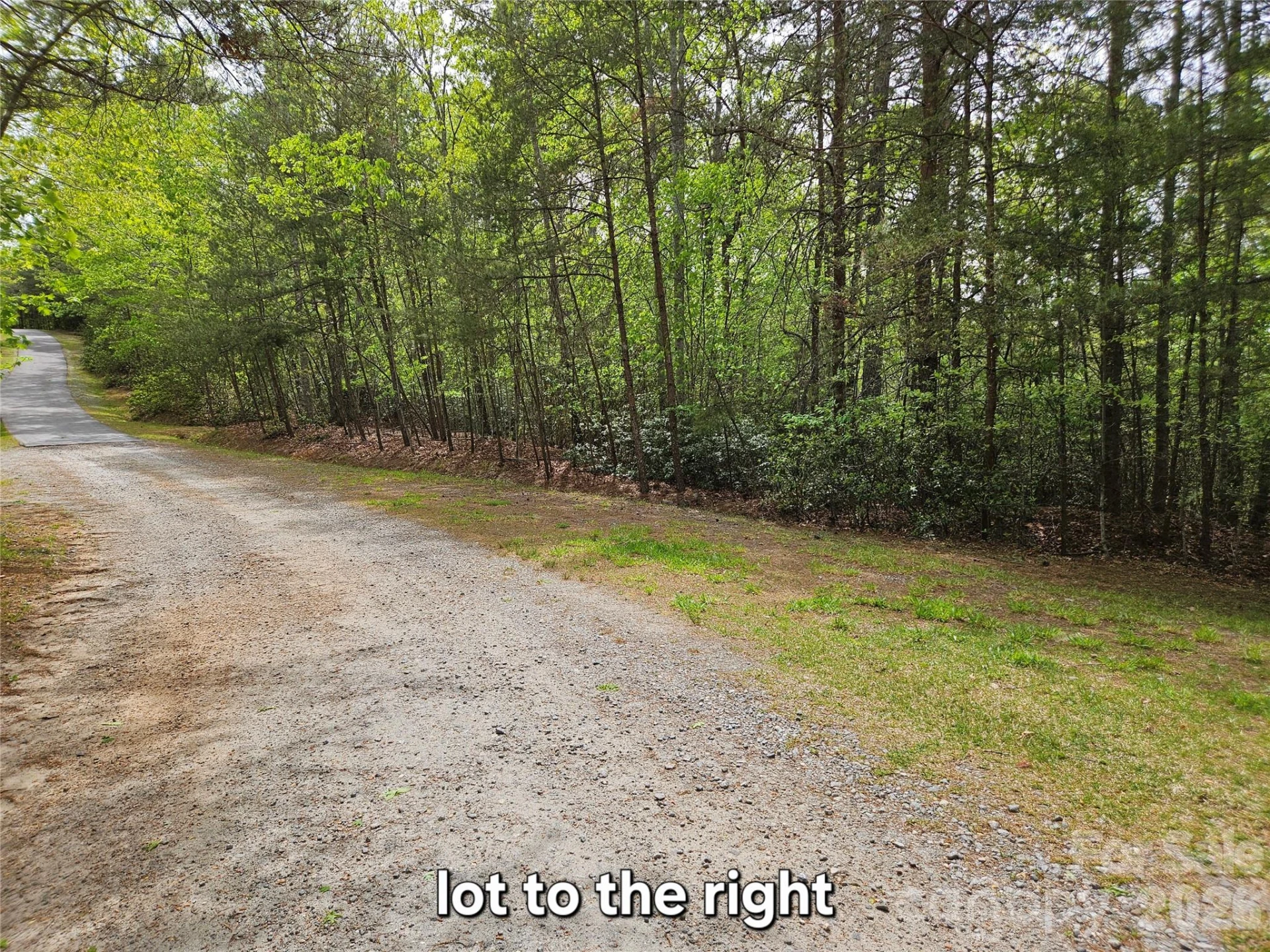81 N Mill Ridge Road - Photo 11