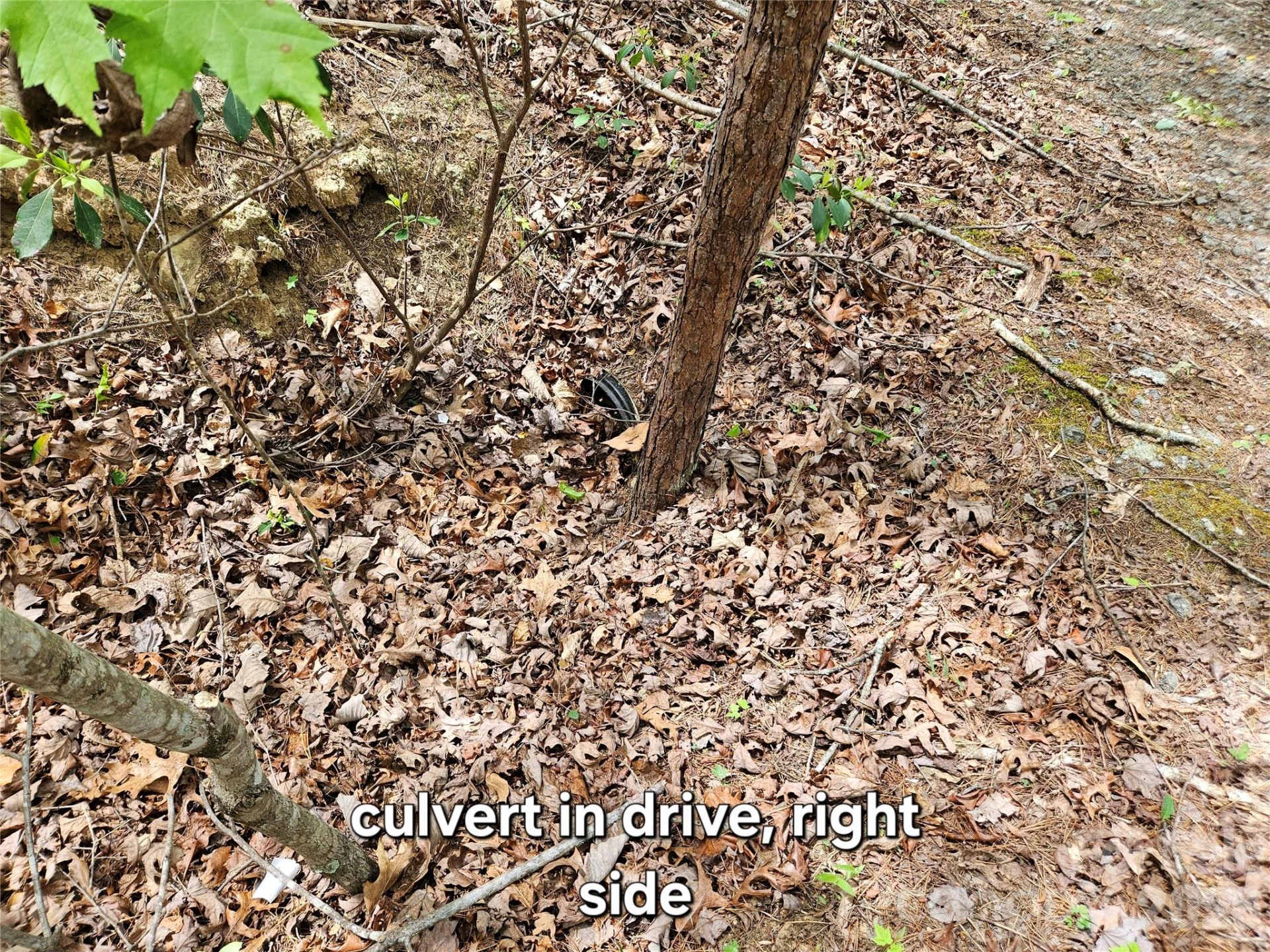 81 N Mill Ridge Road - Photo 12