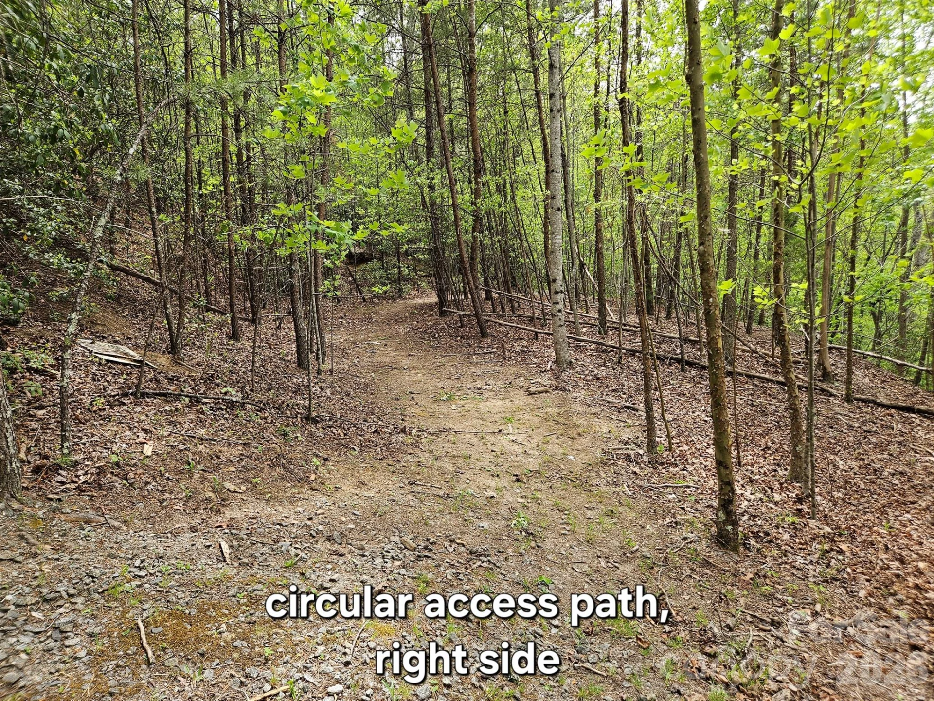 81 N Mill Ridge Road - Photo 13