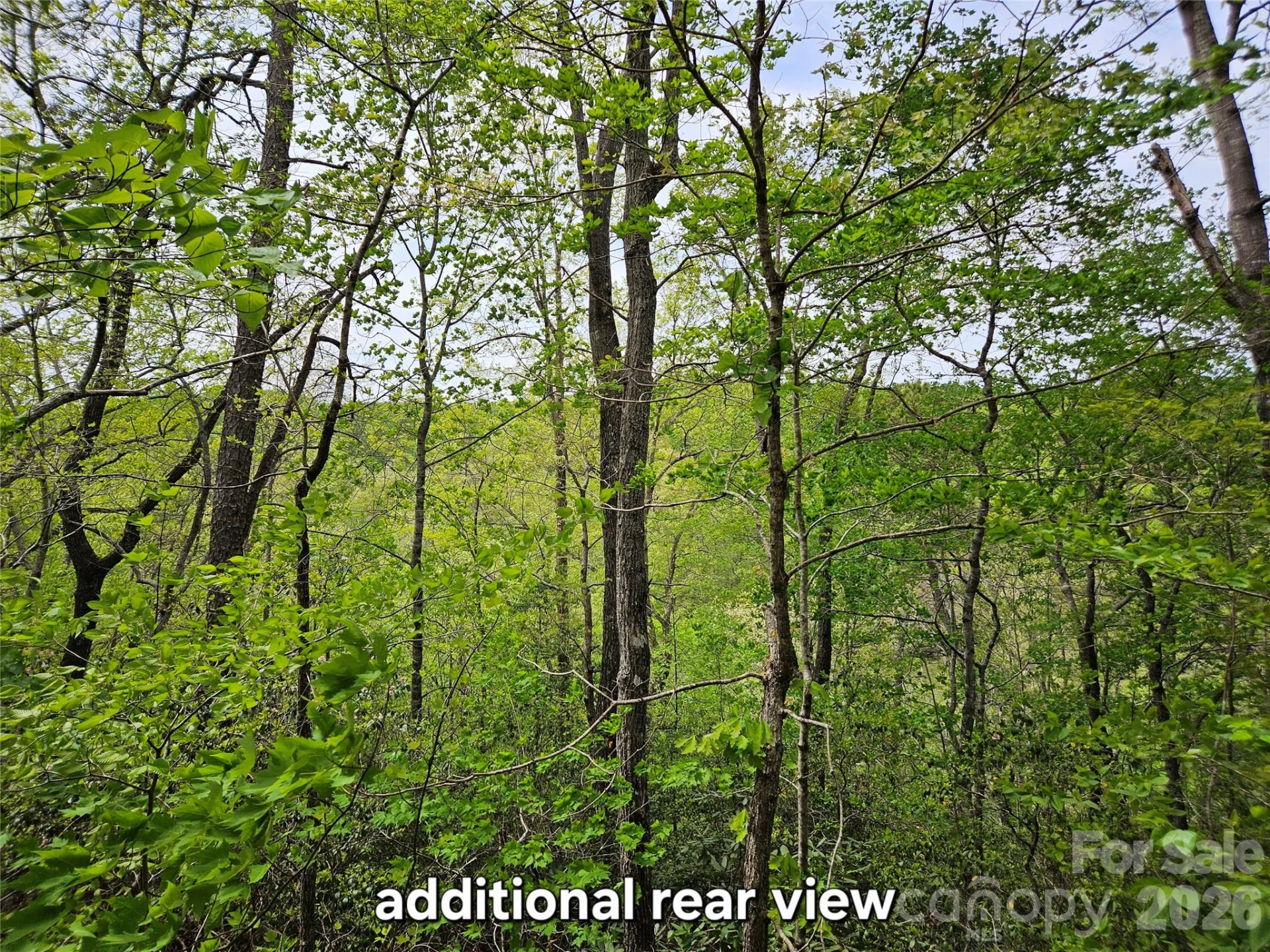 81 N Mill Ridge Road - Photo 15
