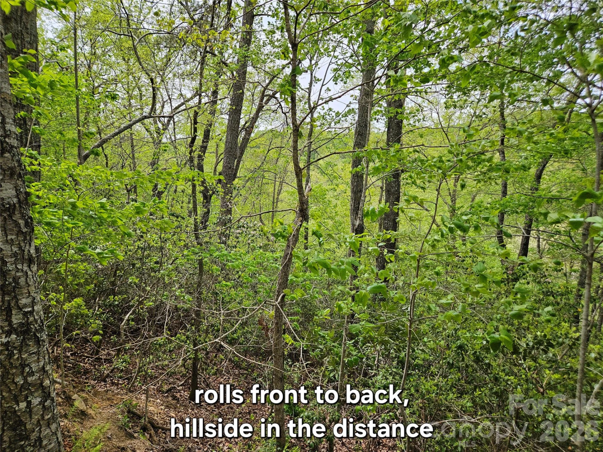 81 N Mill Ridge Road - Photo 16