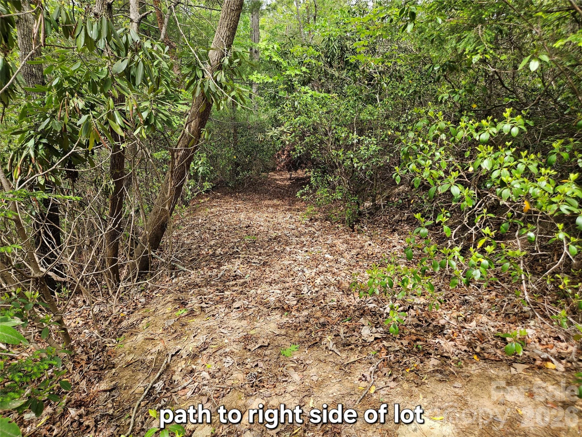 81 N Mill Ridge Road - Photo 18
