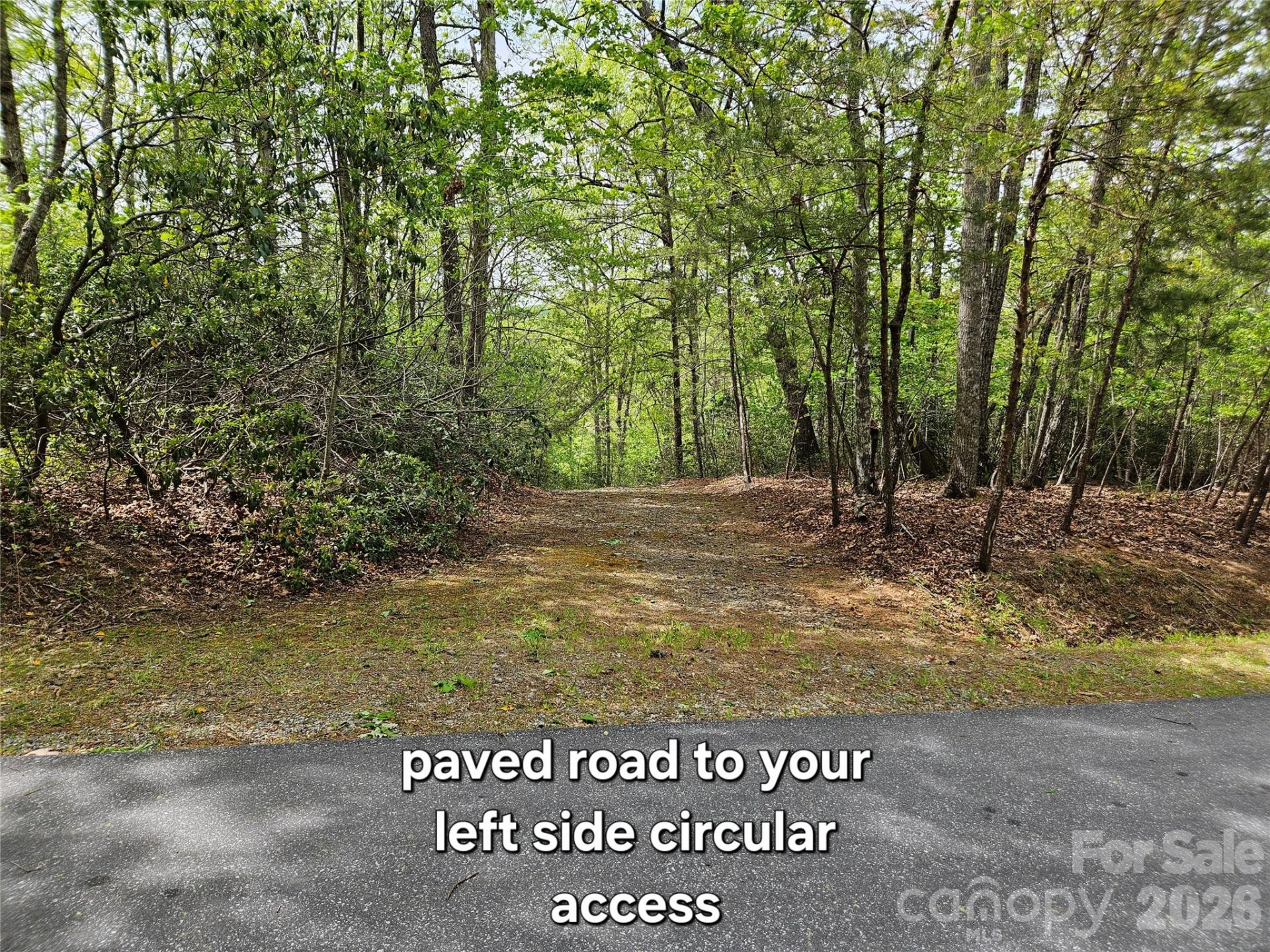 81 N Mill Ridge Road - Photo 3