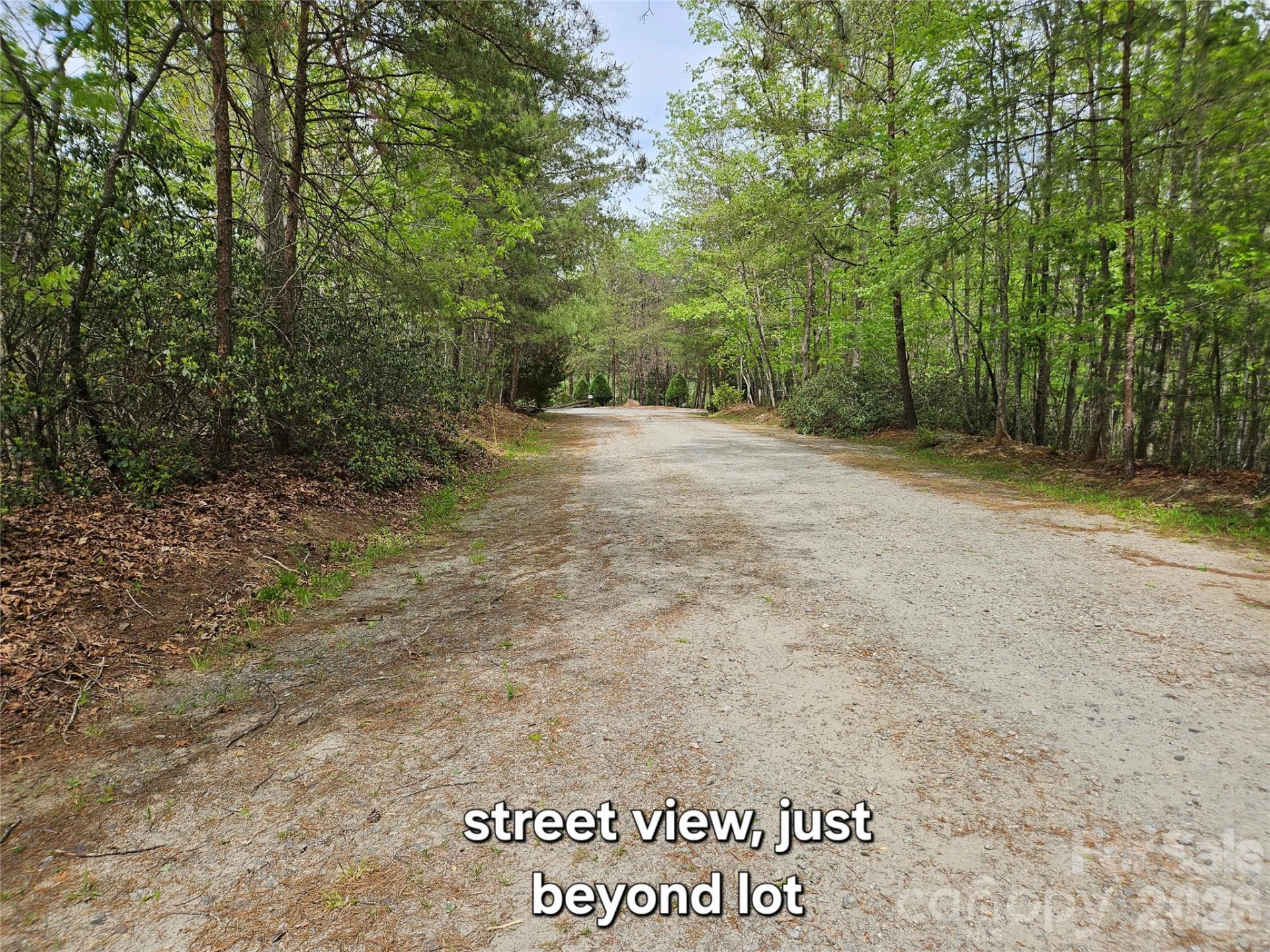 81 N Mill Ridge Road - Photo 4