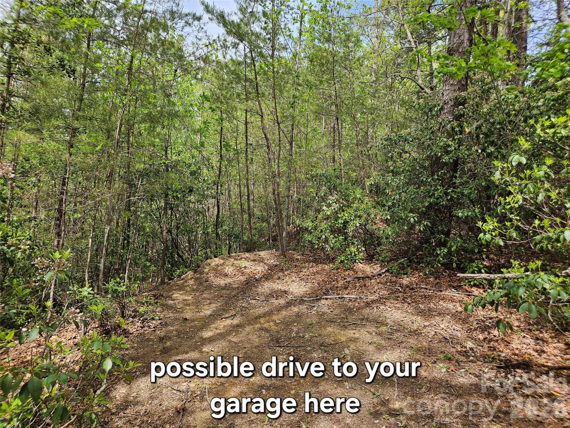 81 N Mill Ridge Road - Photo 6