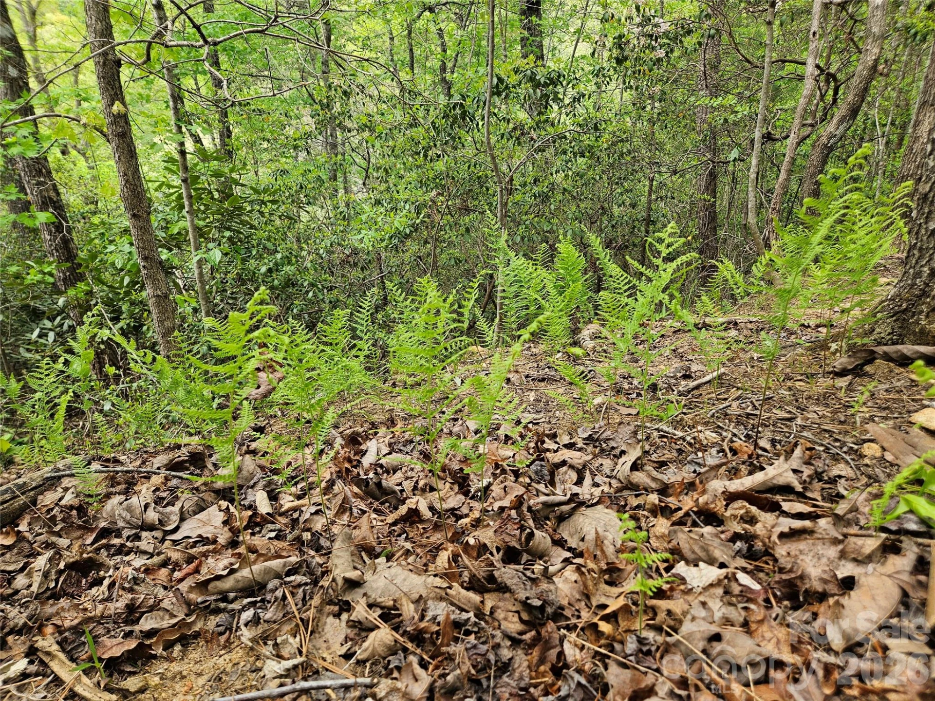 81 N Mill Ridge Road - Photo 8
