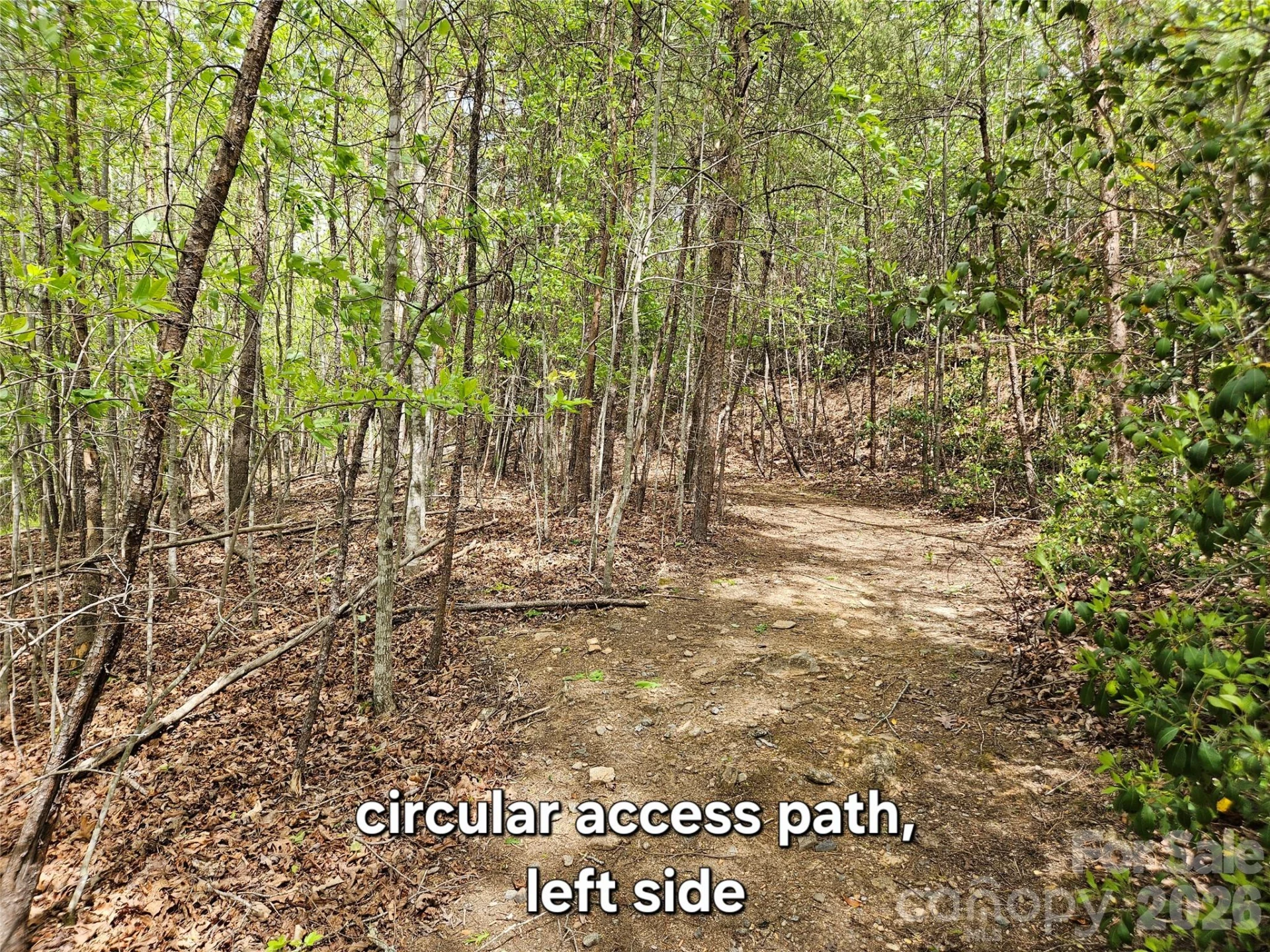 81 N Mill Ridge Road - Photo 9