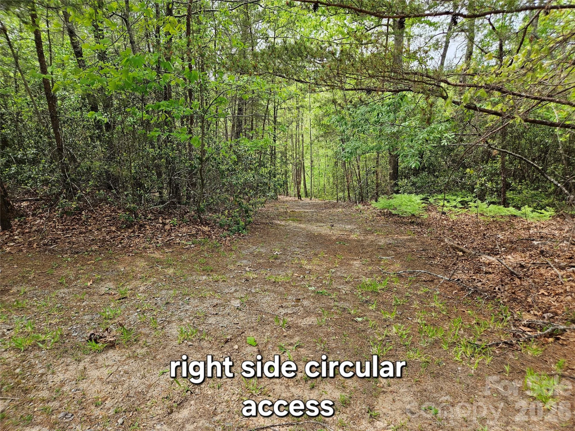 81 N Mill Ridge Road - Photo 10