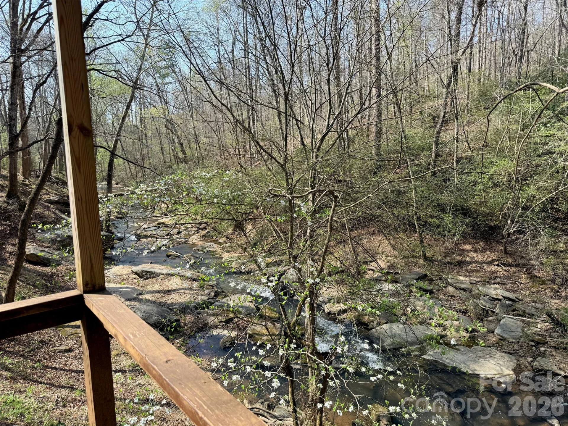3695 NC 9 Highway N - Photo 46