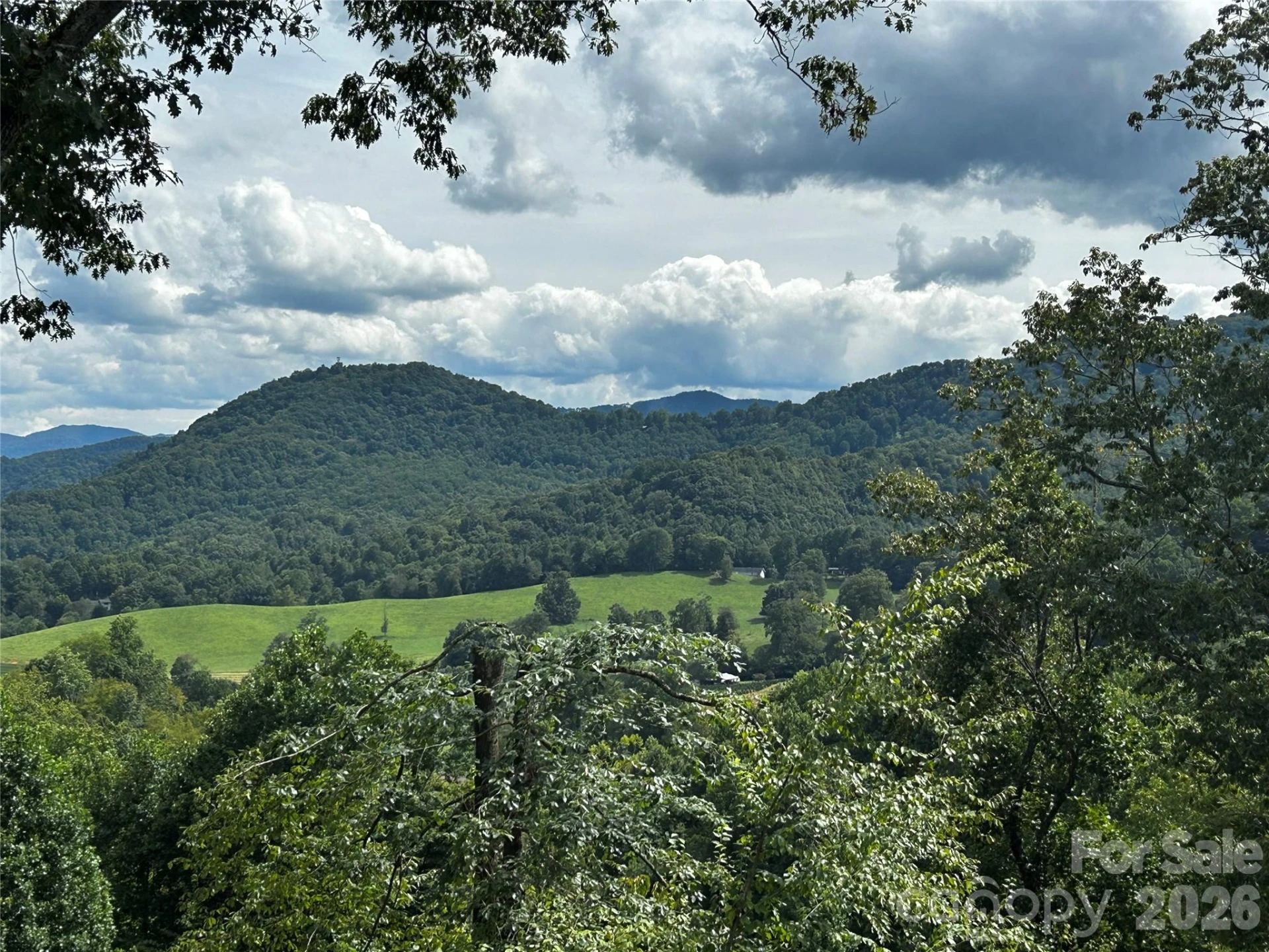 282 Tamarack Trail - Photo 42
