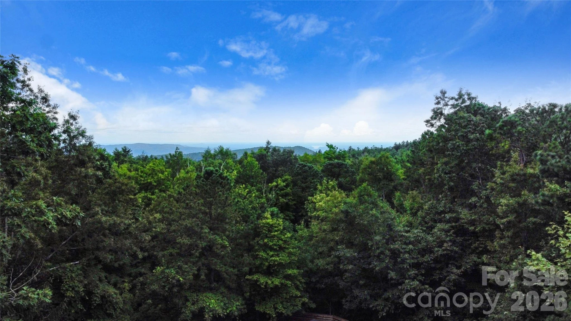 121 Toxaway Views Drive #503 - Photo 40