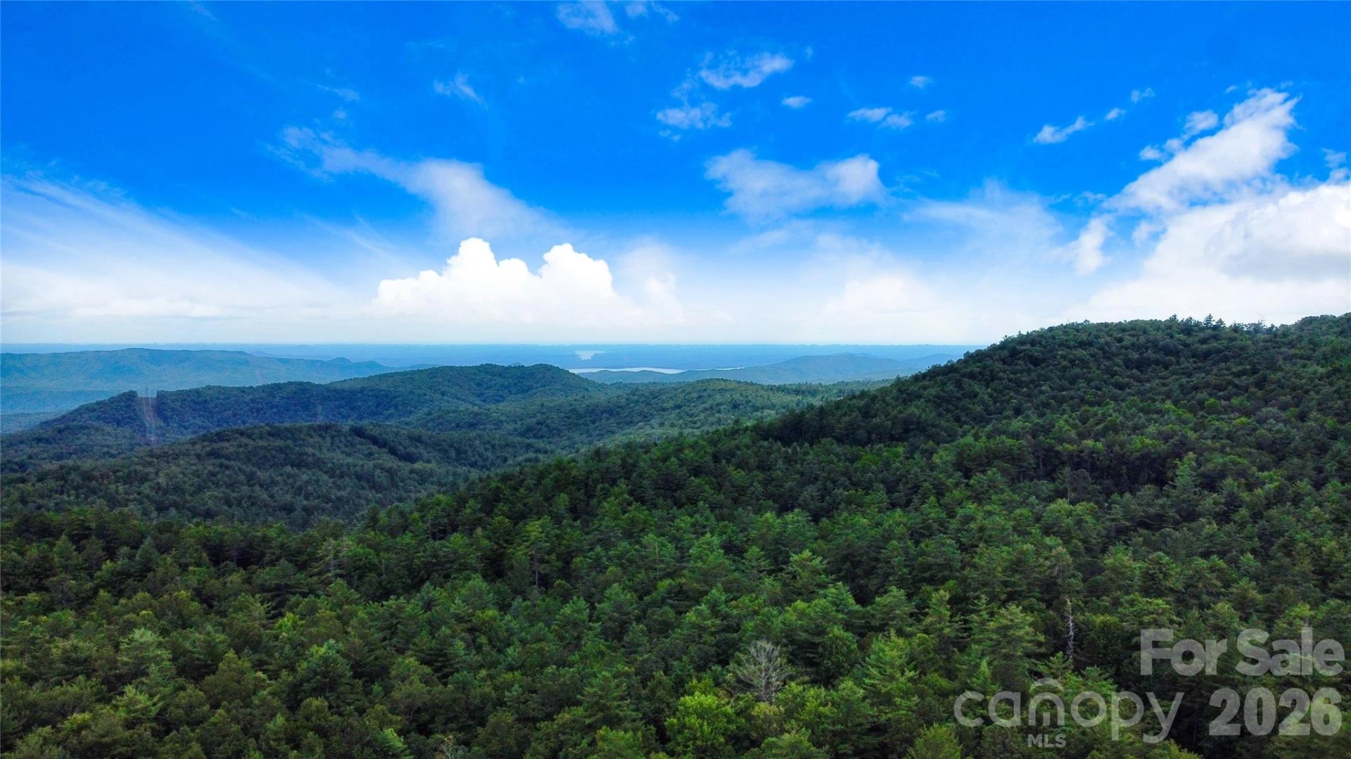 121 Toxaway Views Drive #503 - Photo 41