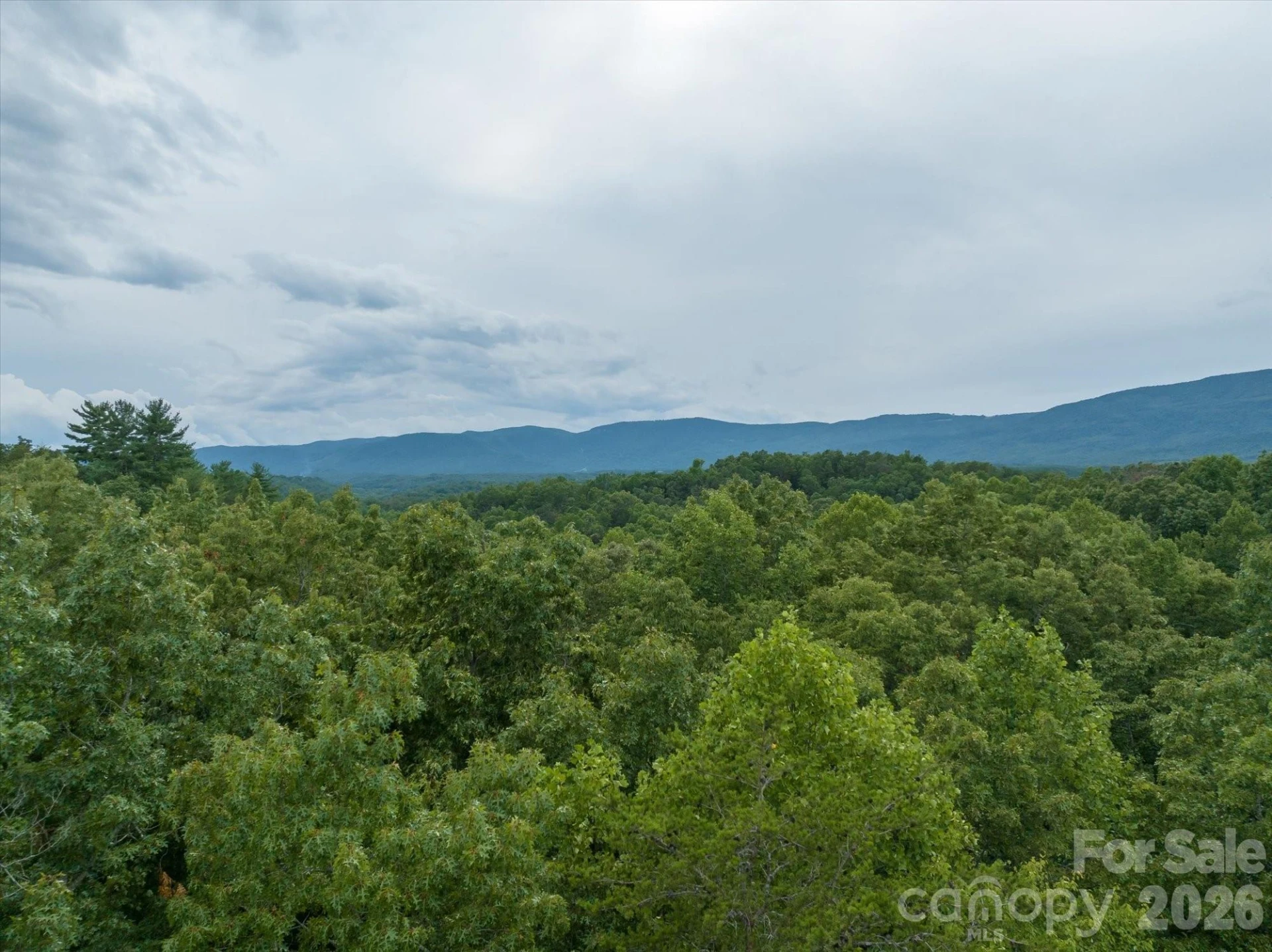 0 Twin Maple Way #5 - Photo 15