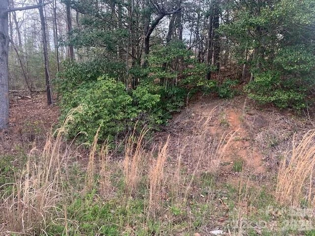 1.0AC HOLBERT COVE Road #2 - Photo 4