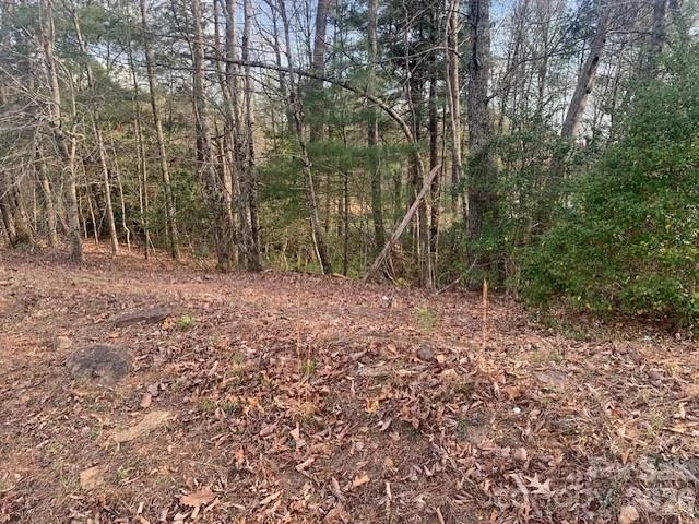 1.0AC HOLBERT COVE Road #2 - Photo 5