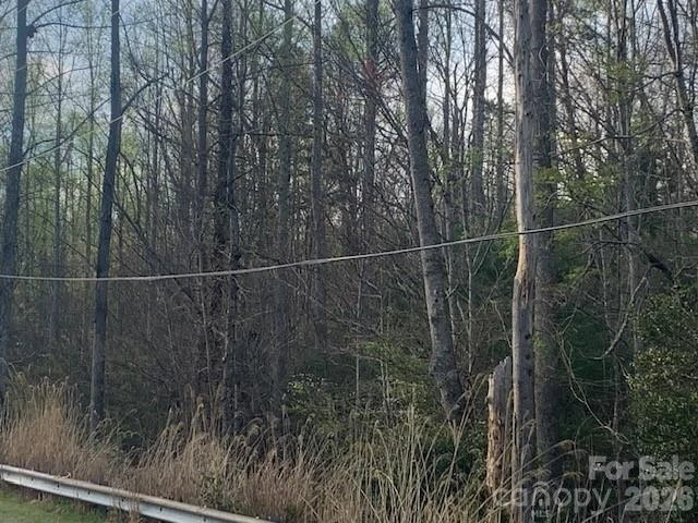 7.67 AC. HOLBERT COVE Road #7.67 AC. - Photo 12