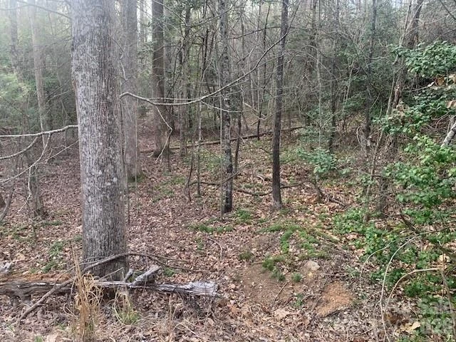7.67 AC. HOLBERT COVE Road #7.67 AC. - Photo 14