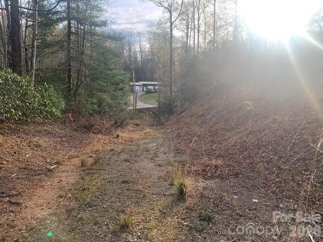 7.67 AC. HOLBERT COVE Road #7.67 AC. - Photo 15