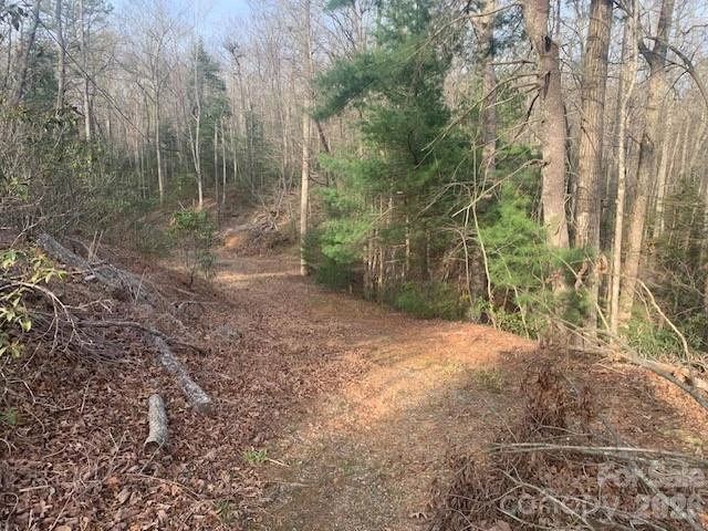 7.67 AC. HOLBERT COVE Road #7.67 AC. - Photo 18