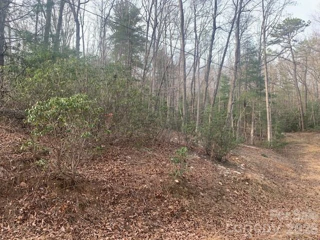 7.67 AC. HOLBERT COVE Road #7.67 AC. - Photo 8