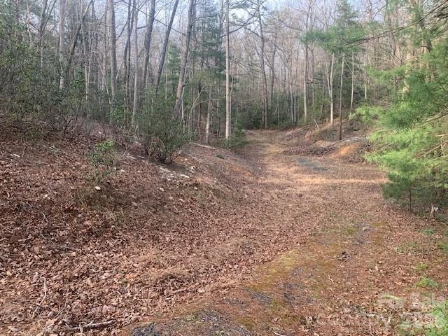 7.67 AC. HOLBERT COVE Road #7.67 AC. - Photo 9