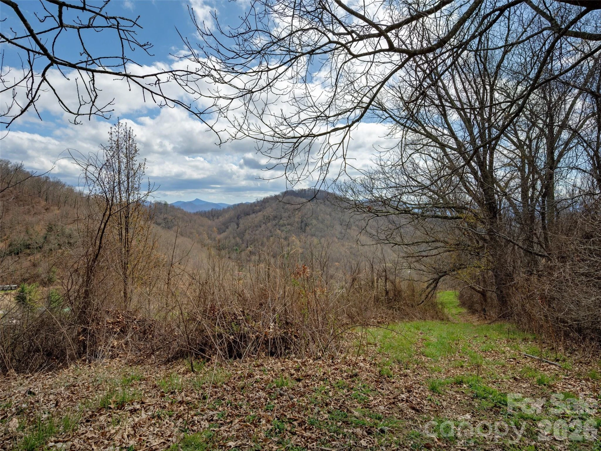 TBD Wilson Cove Road - Photo 12