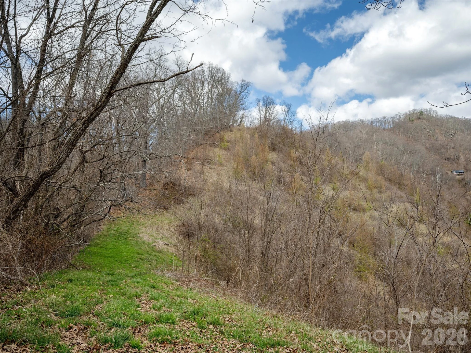TBD Wilson Cove Road - Photo 14