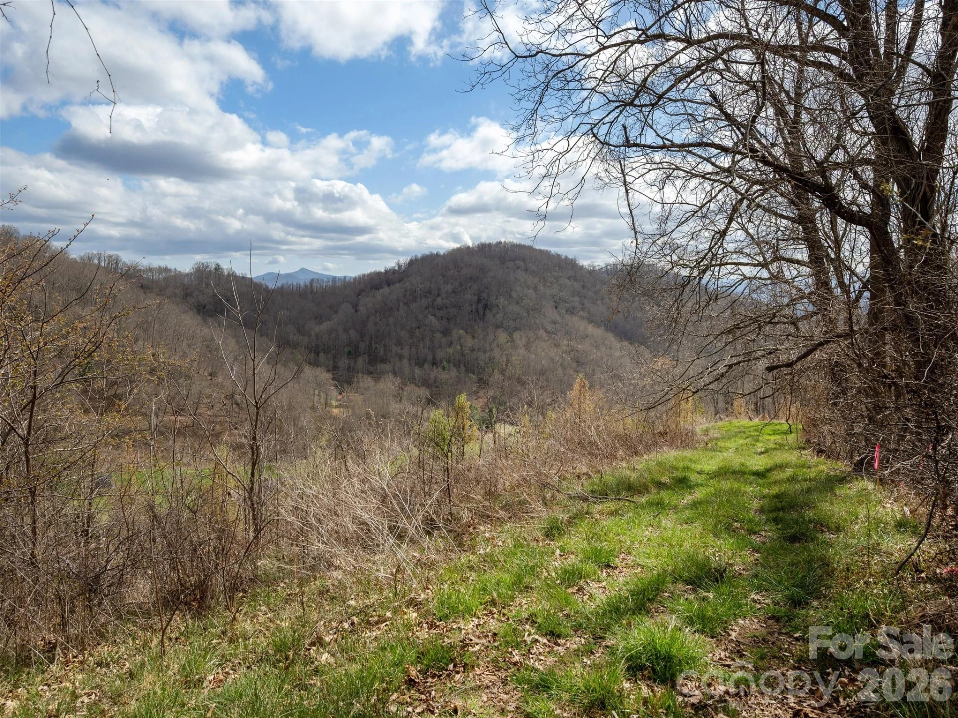 TBD Wilson Cove Road - Photo 15